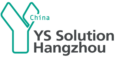 YSソリューション（杭州）有限会社のロゴ