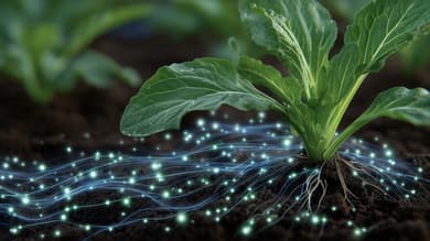 実績のイメージ画像