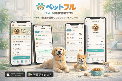 実績のイメージ画像