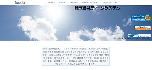 株式会社ティーダシステムのサイト画像