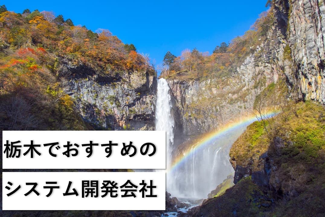Cover Image for 栃木県（宇都宮・小山）でおすすめのシステム開発会社5社【2025年版】