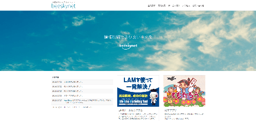 株式会社ビースカイネットのサイト画像