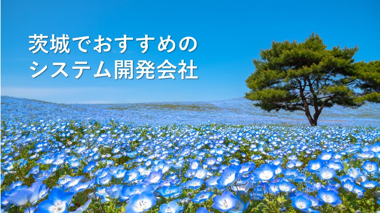 Cover Image for 茨城県（水戸・つくば）でおすすめのシステム開発会社8社【2025年版】