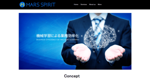 株式会社マーズスピリットのサイト画像