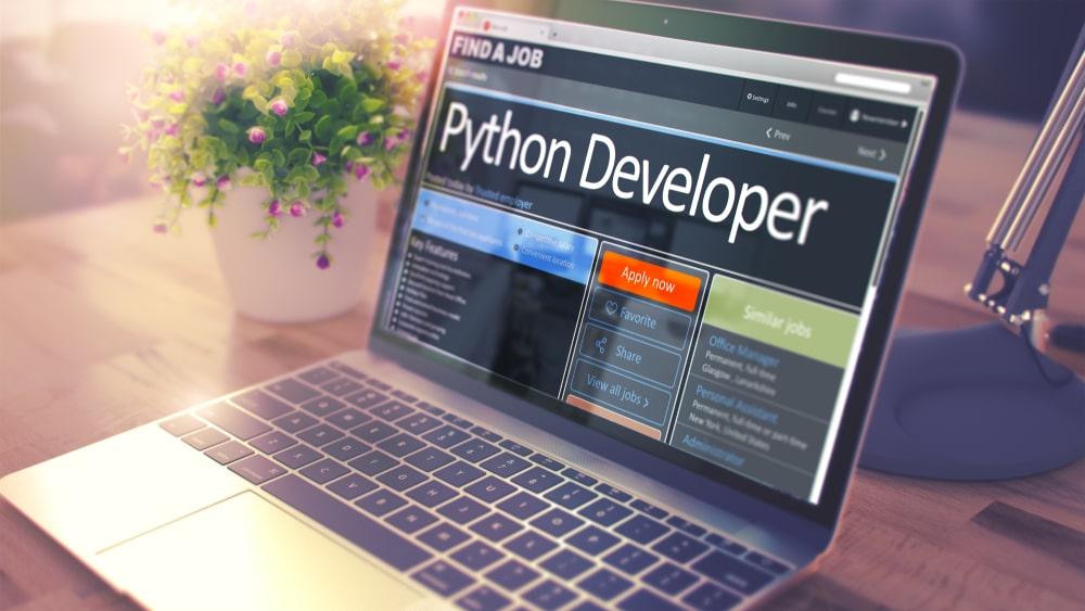 Cover Image for PythonではどんなWebアプリを作れる？外注先の探し方もご紹介