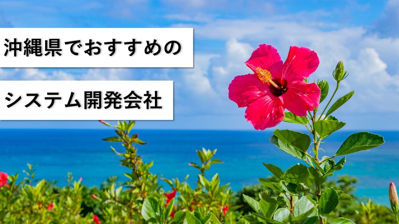 Cover Image for 沖縄県でおすすめのシステム開発会社5社【2024年版】