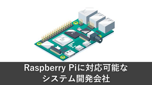Raspberry Piに対応可能なシステム開発会社