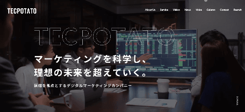 株式会社TecPotatoのサイト画像