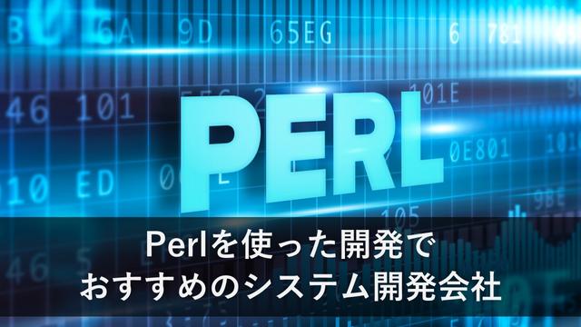 Perlを使った開発でおすすめのシステム開発会社