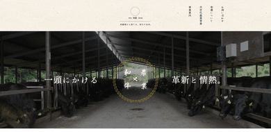 実績のイメージ画像